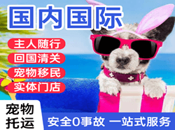 衡阳南岳空运国际宠物托运 【国